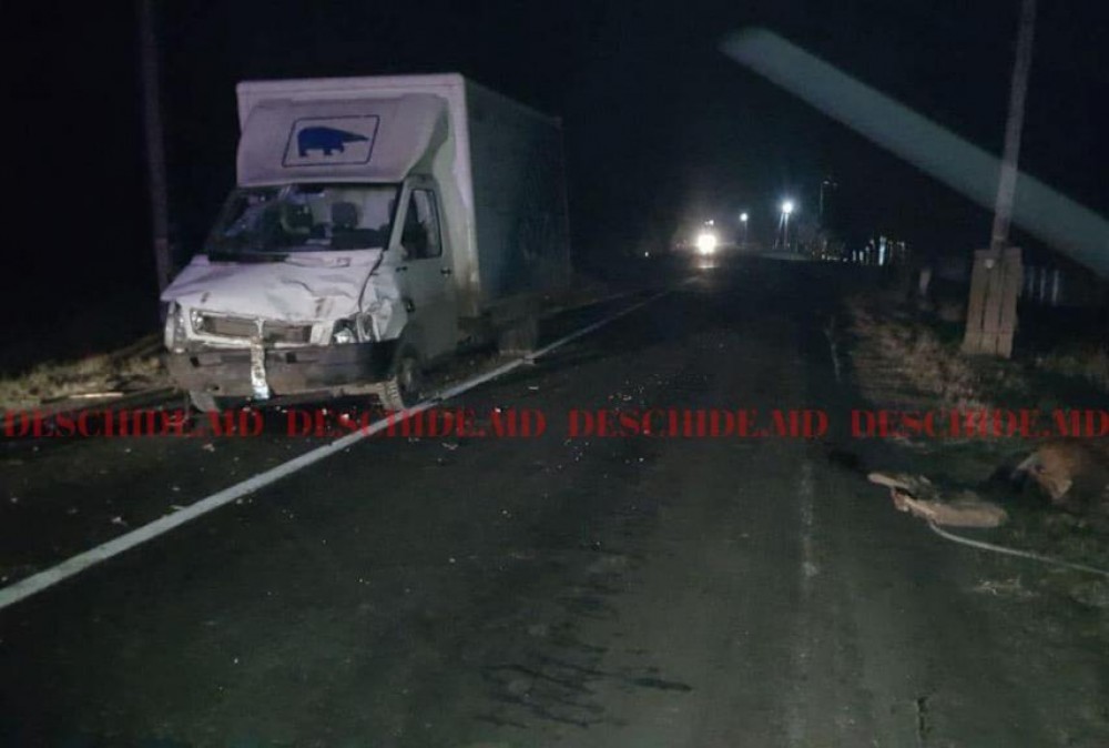 FOTO // Accident GRAV la Troița Nouă. Un cal a murit, iar două persoane au ajuns la spital